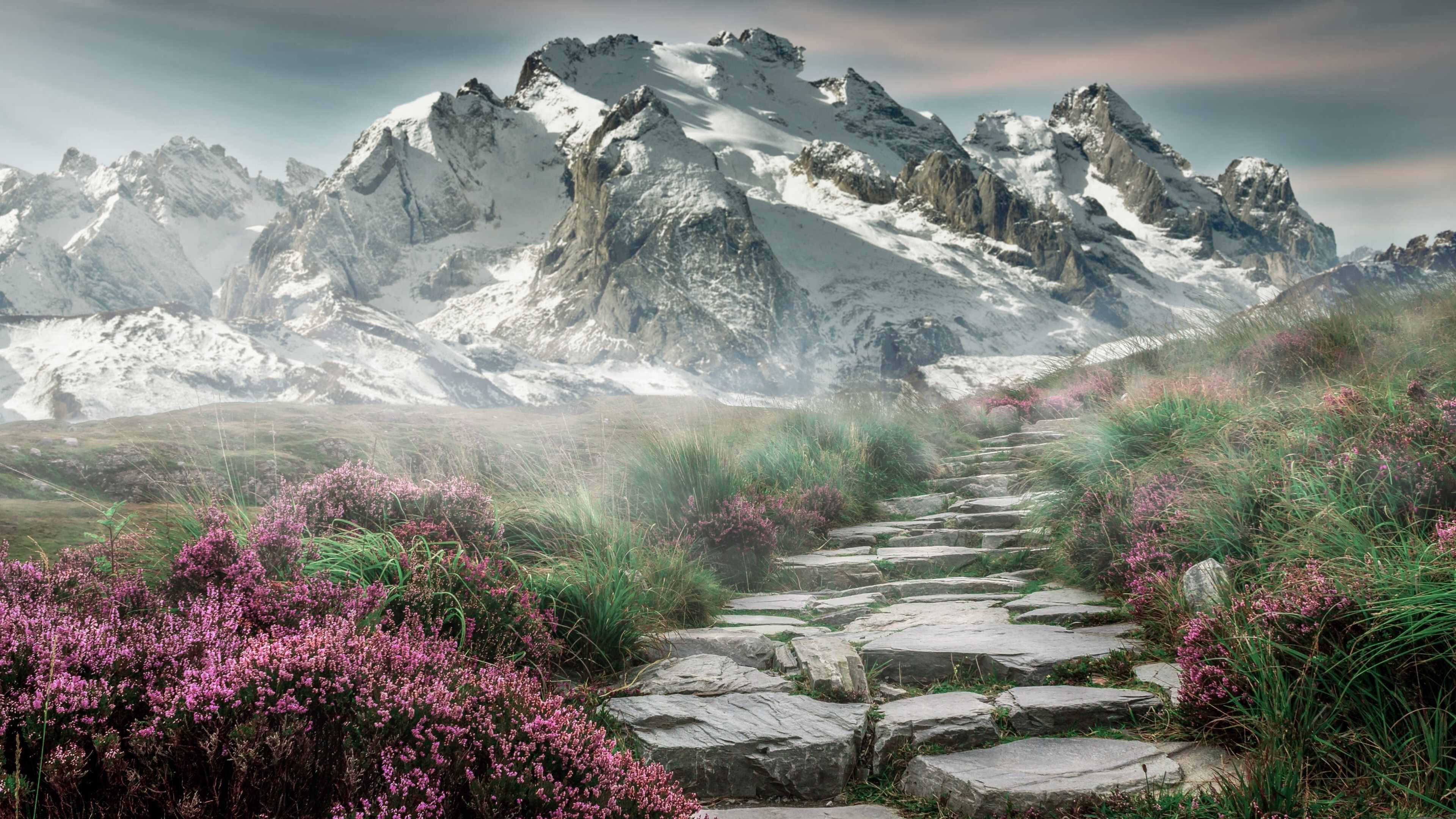 随机法甲战术多变，精彩配合促成多粒精彩进球，法甲 百科