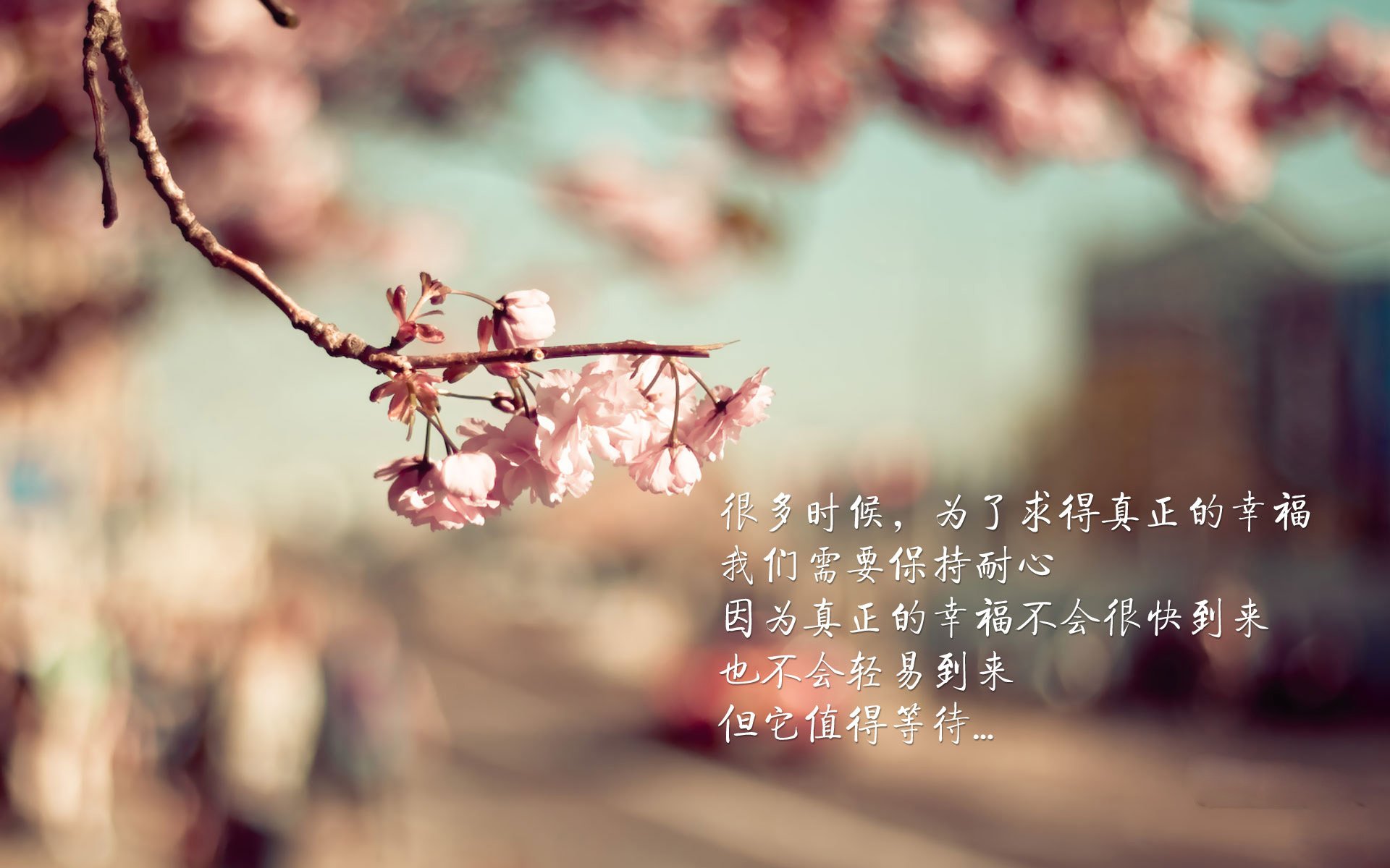 随机篮球职业联赛品牌影响力持续增强，篮球职业联赛叫什么