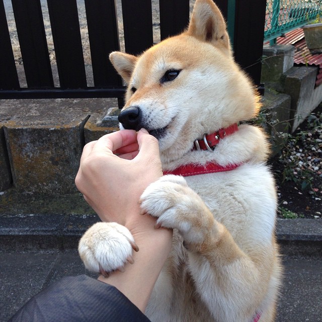 随机赛场“花式”进球大赏：欧冠最美瞬间集锦，欧冠十大进球视频