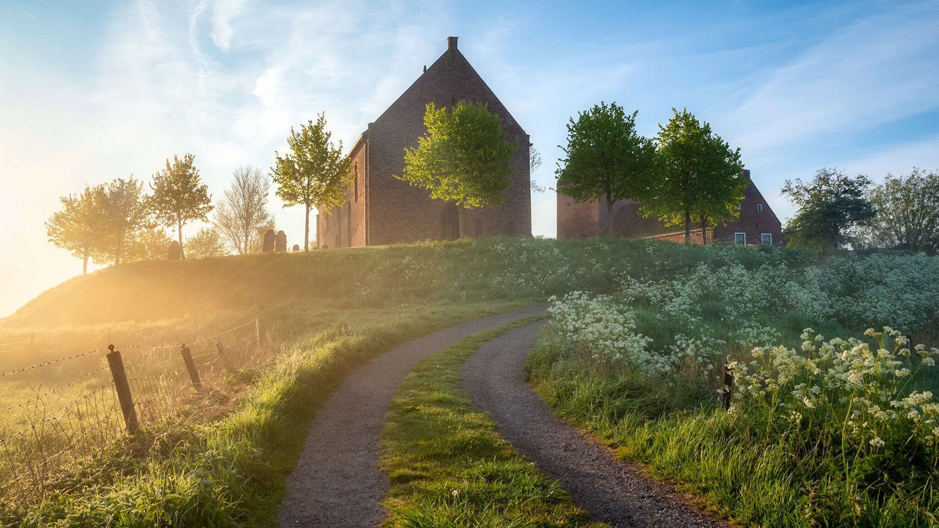 随机FaZe开启LOL直播系列挑战赛，faze冠军