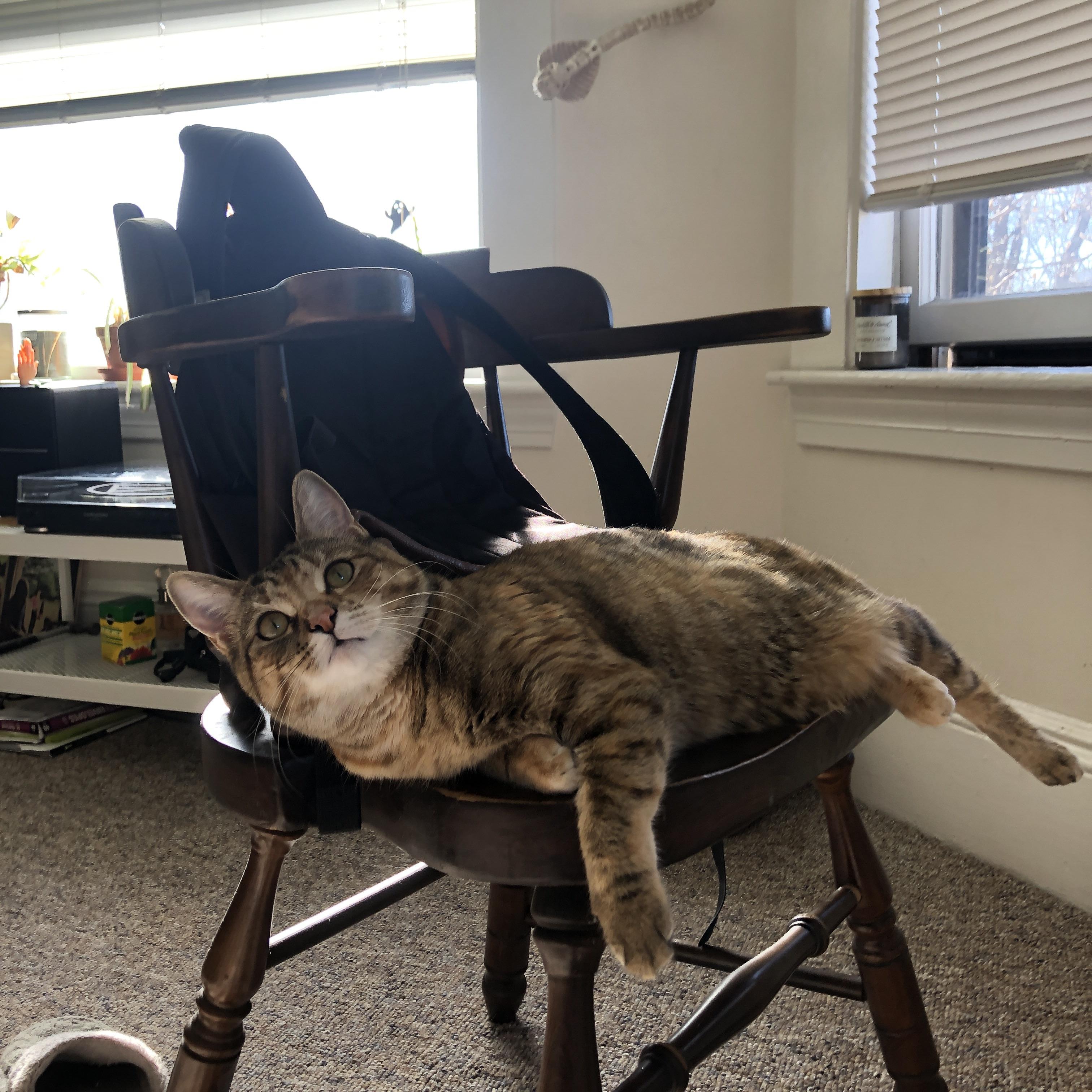 随机中国篮球青训设施现代化升级，中国篮球青训设施现代化升级方案