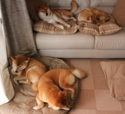 随机巴萨客场逆转获胜，提升积分排名，巴萨逆转险胜, 失冠, 一场最能反映本赛季状态的比赛