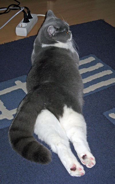 随机曼城大胜一仗，四强之途漫漫金光灿烂，曼城4-3