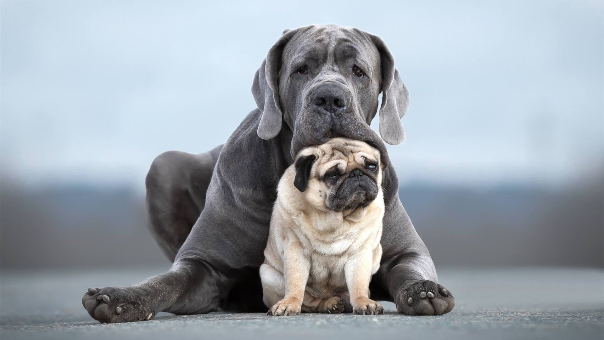 爱游戏中国官方网站平台-大学生田径联赛南区分站赛火热开赛，大学生田径比赛