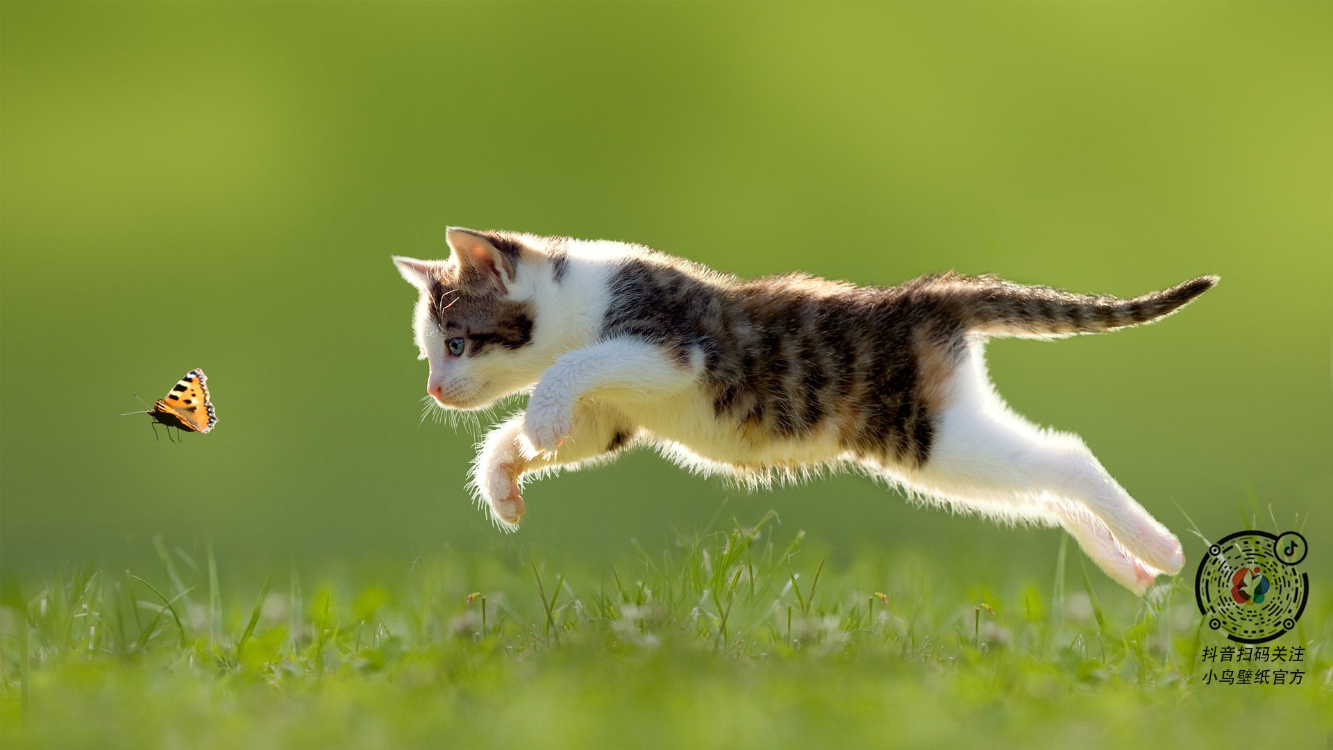 爱游戏娱乐网址-比赛中交替领先的紧张瞬间集锦，比赛中交替领先的紧张瞬间集锦怎么写