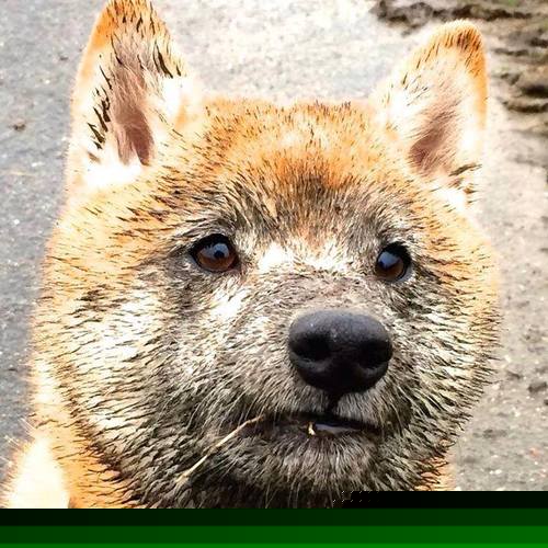 爱游戏平台-皇家社会边路传中精准制造得分机会，皇家社会首发