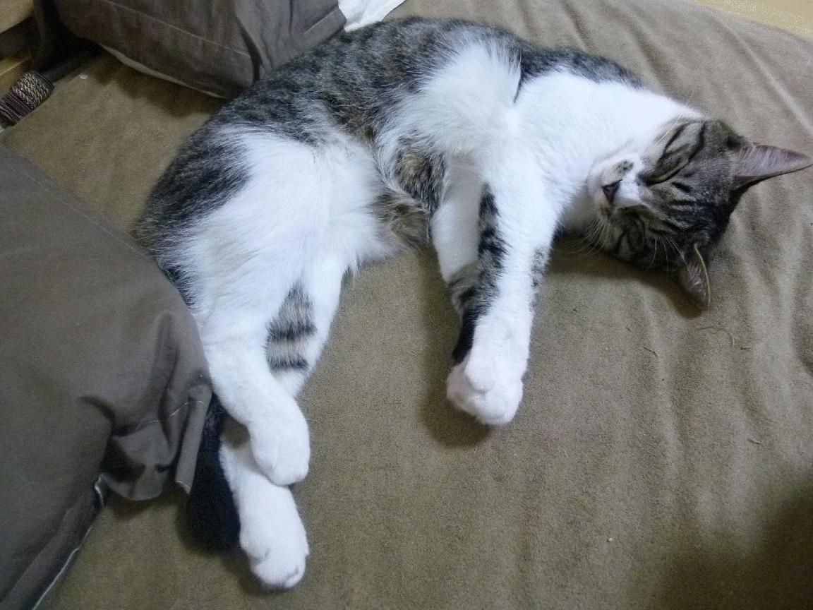 爱游戏-世界杯极致比赛：动作、至臻，值得铭记！，世界 杯