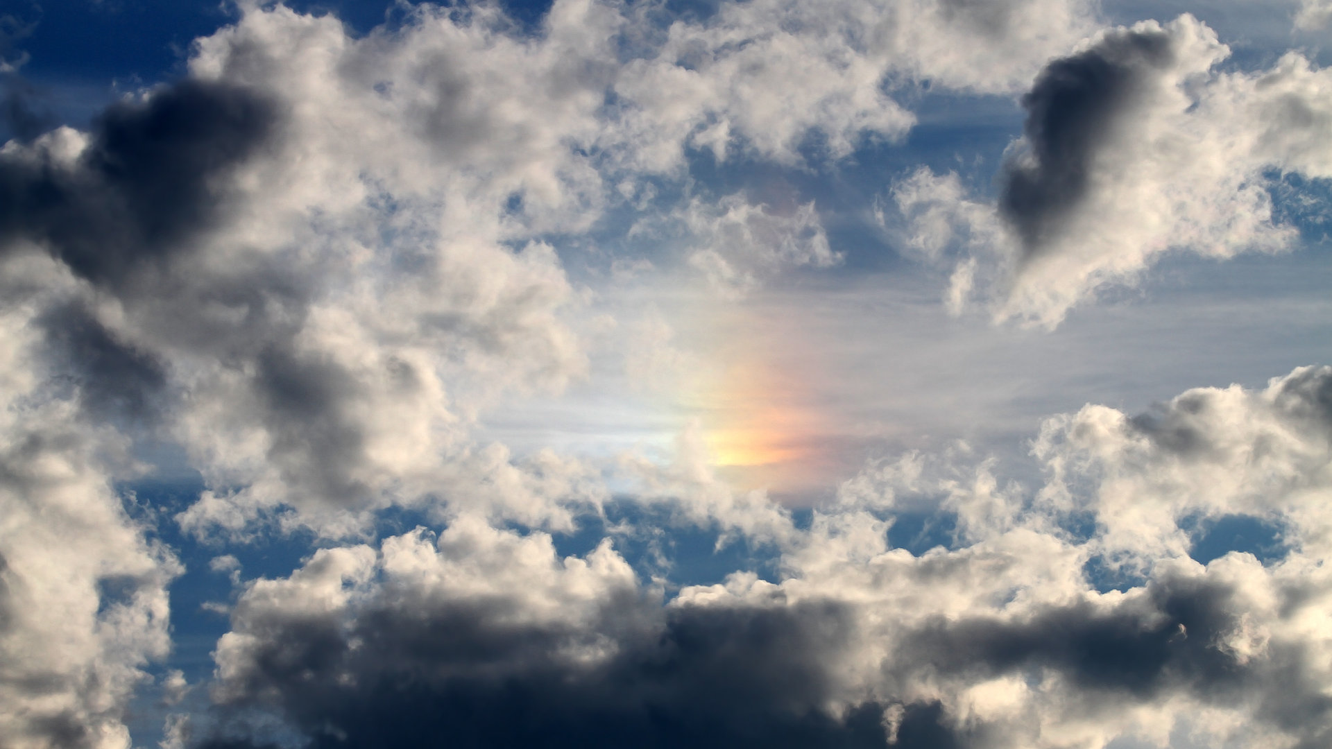 职业联赛设立新人培养计划助力青年球员成长,进入职业联赛需要什么条件