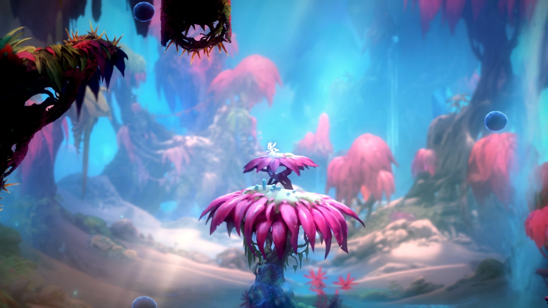 爱游戏电竞官网-西班牙青年队在欧洲赛场表现优异，期待更多精彩